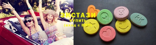 индика Нягань