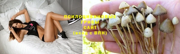 каннабис Аркадак