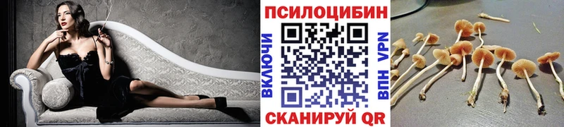OMG   Семикаракорск  Псилоцибиновые грибы мухоморы 